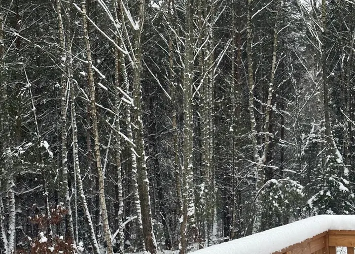 W Sam Дом отдыха *